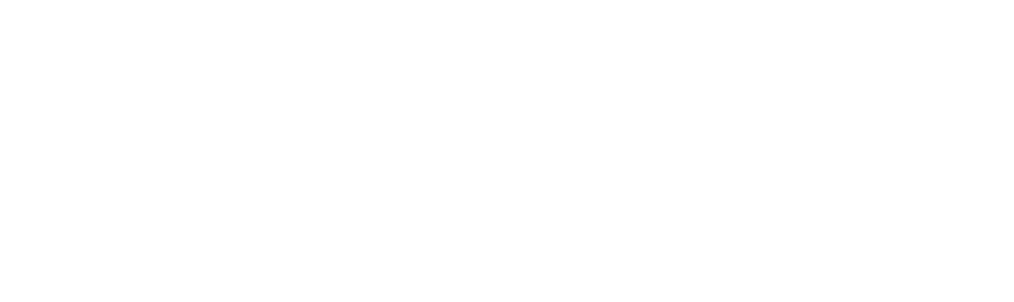 Steam